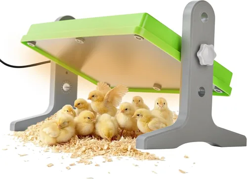 Fuzzy Bird - Incubadora de pollitos (12 x 8 pulgadas), calentador de incubación para pollos, patos y pájaros, calefacción de incubación para