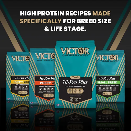Miniatura 11 de VICTOR Super Premium - Alimento para perros Hi-Pro Plus - Comida seca para perros con alto contenido de proteínas con 30% de proteínas, carne