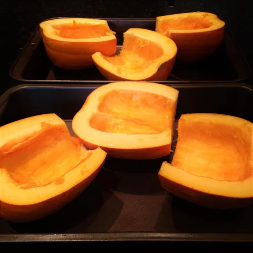 Miniatura 6 de TomorrowSeeds - Semillas de calabaza Dickinson - Paquete de más de 20 unidades - para 2024 (Kentucky Field), parche de bronceado, calabazas