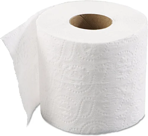 TT96, rollos de papel higiénico blanco de 2 capas, papel higiénico desechable suave absorbente, 500 hojas por rollo, 96 rollos por caja