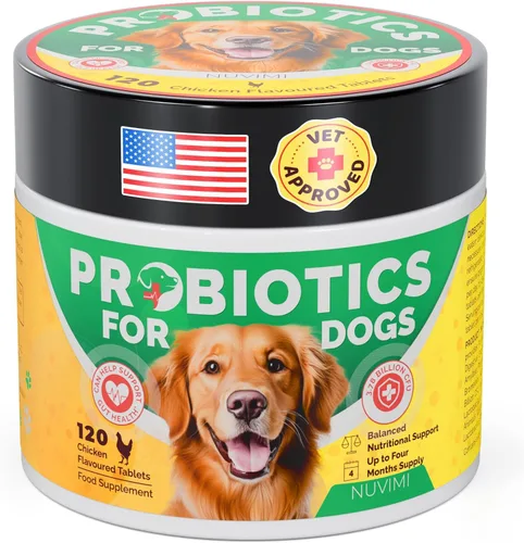 Probióticos para perros – Comprimidos probióticos y prebióticos para perros – Suplemento de apoyo digestivo para la salud intestinal, alivio de la