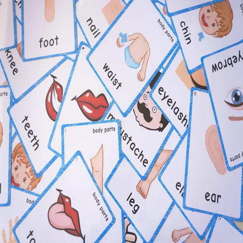 Miniatura 5 de SANTSUN 36 piezas de tarjetas flash My Body Parts para niños pequeños, con agujeros perforados, para que puedas ordenar y organizar las tarjetas