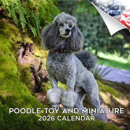 Miniatura 128 de Calendario 2025 2026 de cachorros Cocker Spaniel - Calendario mensual de pared de raza de perro - 12" x 24" abierto - Papel grueso sin sangrado