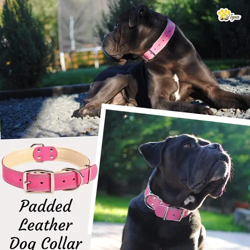 Miniatura 2 de ADITYNA Collar de perro de cuero rosa resistente para perros grandes, forrado con cuero suave, collar de perro para caminar, entrenar y senderismo