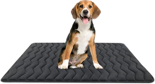 Miniatura 27 de Bubble bear - Tapete para jaula de perro ultra suave, lavable y antideslizante para perros pequeños, medianos y grandes, de color oscuro
