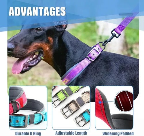 Miniatura 4 de Collares de perro personalizados con nombre de mascota y número de teléfono, acolchado de neopreno suave, collar de perro grueso y fuerte, collar
