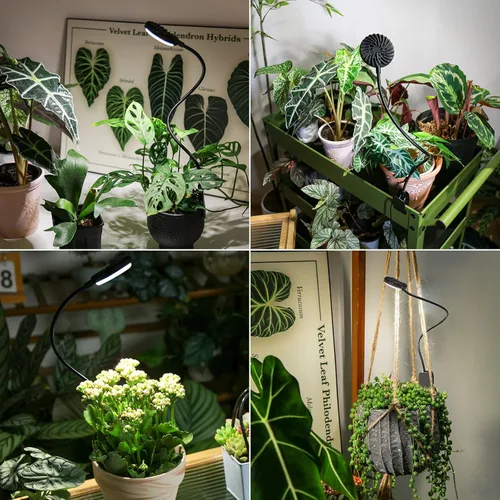 Miniatura 6 de Luces de cultivo para interiores, luces de plantas con clip para cultivo en interiores, lámpara LED de crecimiento de plantas de espectro completo