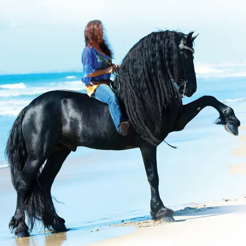 Miniatura 6 de Breyer Serie tradicional de caballos Sjoerd Modelo de juguete de caballo 12.25 x 8 pulgadas Escala 1:9 Modelo #1859