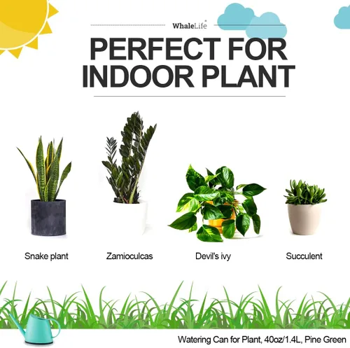 Miniatura 6 de WhaleLife Regadera interior para plantas de bonsái de casa (1.4L, verde pino)