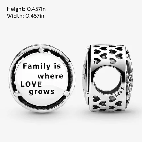 Miniatura 2 de Annmors Family Charm Love your Dad Mon Sister Infinity Charm fits Bracelets 925 Sterling Silver-Lucky Charm for Woman Pendant Bead Jewelry Beads