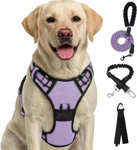 Miniatura 12 de FURRYFECTION Arnés a cuadros para perros pequeños, chaleco reflectante ajustable sin tirones para mascotas con clip frontal, correa, asa de fácil