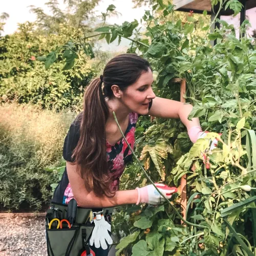 Miniatura 6 de KUNN Cinturón de Herramientas de Jardín, Cinturón de Herramientas Duradero Ajustable con Riñonera con 4 Bolsillos para Mujeres Hombres Jardineros