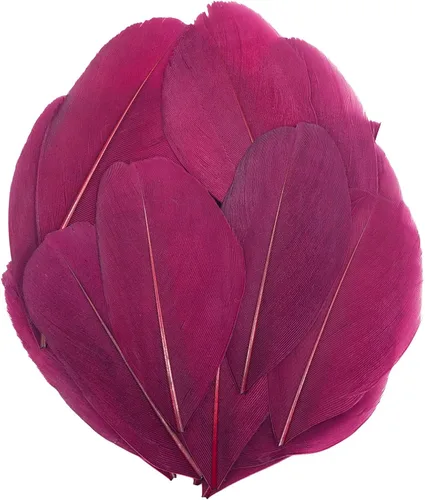 Miniatura 14 de 50 plumas de ganso naturales, plumas artesanales de 2 a 3 pulgadas para centros de mesa, plumas coloridas a granel para fiestas de Gatsby, vestidos