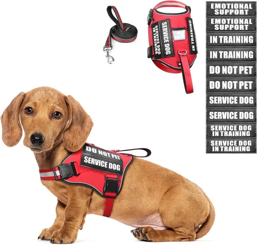 Miniatura 22 de Juego de arnés y correa para perro de servicio, chaleco de entrenamiento para perros con 10 parches para perros, arnés y chaleco para perros de Azul