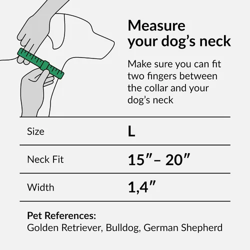 Miniatura 2 de CollarDirect Martingale - Collar de nailon resistente para perros pequeños, medianos y grandes [nailon, estampado, aguamarina, L, 15-20 pulgadas)