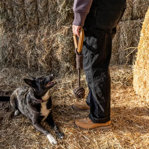 Miniatura 4 de Carhartt Herramientas de entrenamiento para mascotas, herramienta resistente para tirar, buscar y jugar, puño de mono para perro (Carhartt marrón)