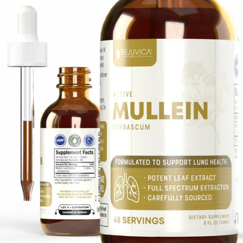 Rejuvica Health Active Mullein 2oz - Extracto líquido de gordolobo avanzado - Gotas de apoyo pulmonar - Tintura vegana sin azúcar sin OMG