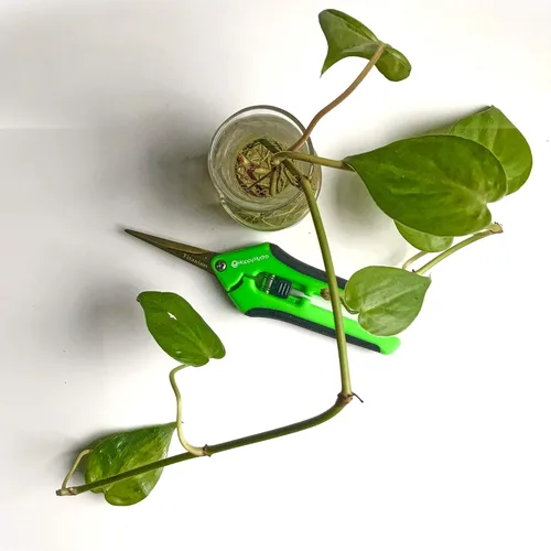 Miniatura 8 de Happy Hydro - Tijeras de titanio de punta recta