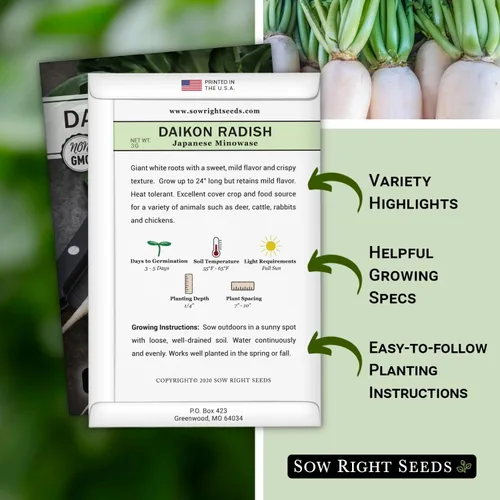 Miniatura 2 de Sow Right Seeds - Semillas de rábano japonés Minowase Daikon para plantar - Paquete de reliquia sin OMG con instrucciones para plantar un huerto
