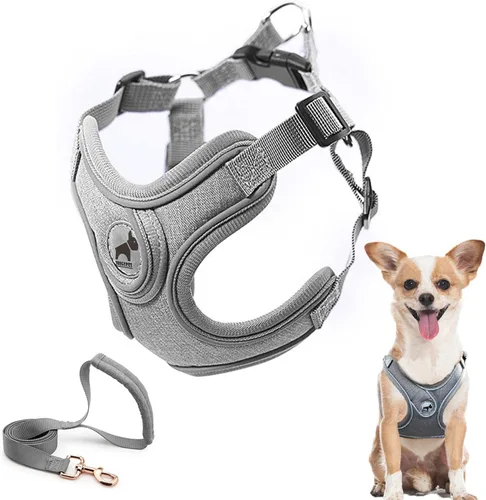 Arnés para perro con juego de correa, arneses para cachorros con acolchado transpirable para entrenamiento y carrera de perros pequeños (XS, gris)