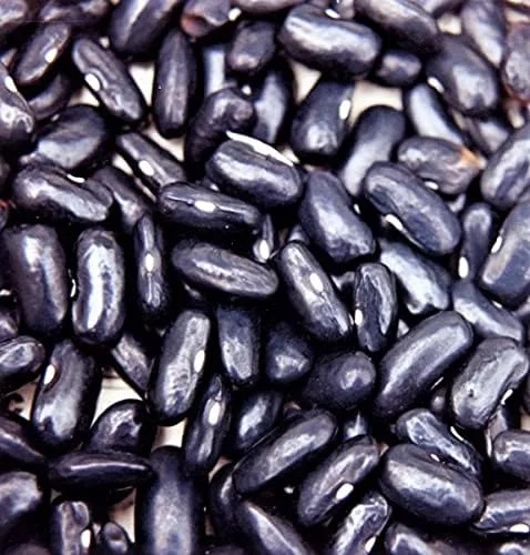 Miniatura 2 de Semilla de frijol, San Valentín negro, reliquia, 200 semillas, sin OMG, frijoles
