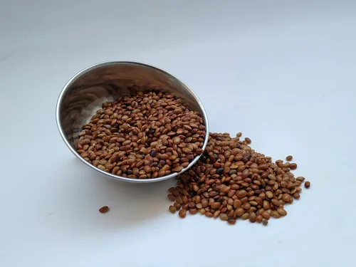Miniatura 4 de NY Spice Shop Lentejas de caballo Gram - Gramo de caballo de 5 libras - Frijoles Kulthi indios - Semillas de Muthira - Macrotyloma uniflorum - Lleno