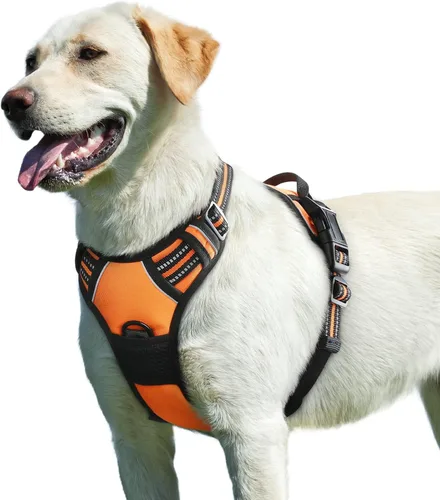 Miniatura 22 de Eagloo Arnés para perro pequeño, sin tirones, chaleco de servicio con tiras reflectantes y asa de control, ajustable y cómodo para caminar, arnés