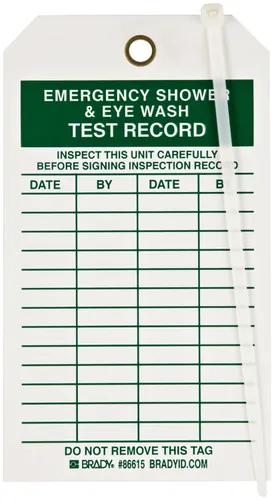 Brady 86615 B-851 - Etiqueta de inspección de color verde sobre blanco y control de materiales (paquete de 10)