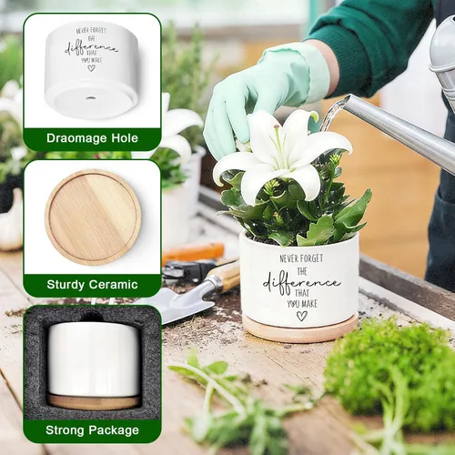 Miniatura 4 de DOFAFALA Maceta Graciosa para Suculentas, Maceta para Cactus, Regalos de Flores, Regalos Inspiradores de Apreciación para Amantes de Plantas, Nunca