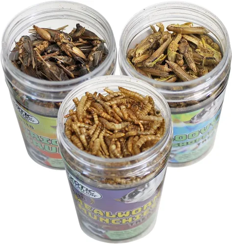 Miniatura 2 de Exotic Nutrition Insectos secos paquete de 3 – Grillos, saltamontes, gusanos de la harina – para planeadores de azúcar, erizos, aves silvestres