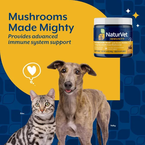 Miniatura 3 de NaturVet Mushroom Max - Suplemento avanzado para perros de apoyo inmunológico – Ayuda a fortalecer la inmunidad, la salud general de los perros