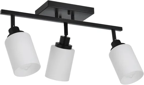 Miniatura 11 de TODOLUZ Luminarias de Riel de 2 Luces Aplique de Pared, Foco de Níquel Cepillado para Cocina Sala de Estar Comedor Pasillo, Base de Bombilla E26
