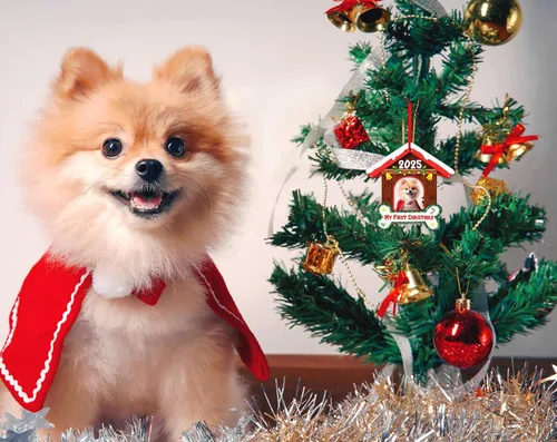 Miniatura 7 de FLYAB Adornos de la primera Navidad de Perros 2025-3.5 x 3.3 pulgadas, marco de fotos de perro acrílico, adorno personalizado para cachorro, adorno
