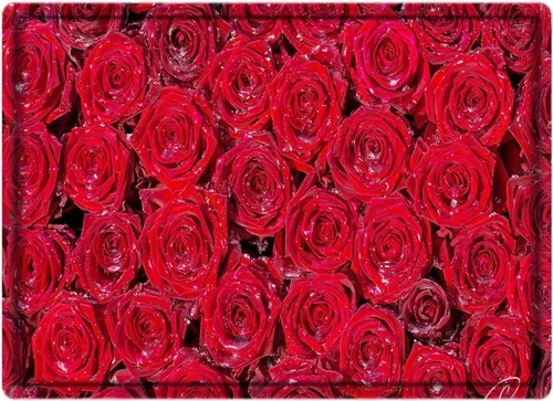 Miniatura 2 de LYFANS Alfombras de baño de espuma de esponja absorbente suave para baño y cocina (30 x 18 pulgadas), tapete de franela antideslizante brillante