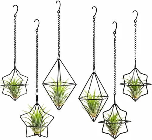 Miniatura 6 de Paquete de 6 soportes geométricos para colgar en la pared, decoración Tillandsia de metal negro para estilo bohemio, hogar, oficina y estantes