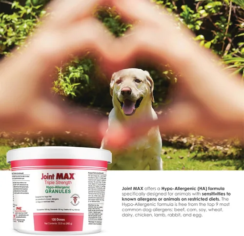 Miniatura 4 de Gránulos de triple fuerza HA para perros, glucosamina, condroitina, creatina, MSM y antioxidantes, suplemento de apoyo para cadera y articulaciones