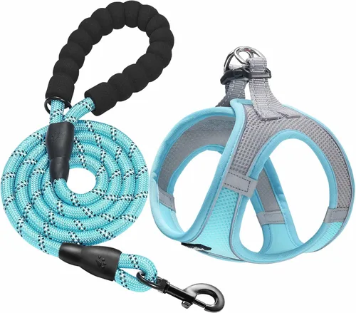 Miniatura 10 de haapaw - Arnés para perro con correa, arnés reflectante, ajustable y sin tirones para cachorros con chaleco acolchado para perros Negro