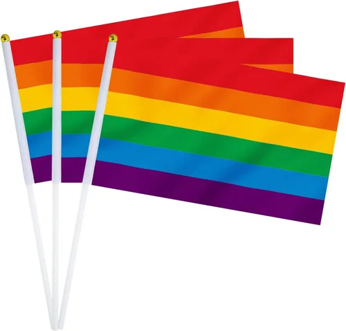 Miniatura 8 de Bandera Lesbiana Pequeña Mini Banderas de Orgullo Lésbico de Mano en Palos para Desfiles Fiestas Festivales Decoraciones Bandera de mano lesbiana