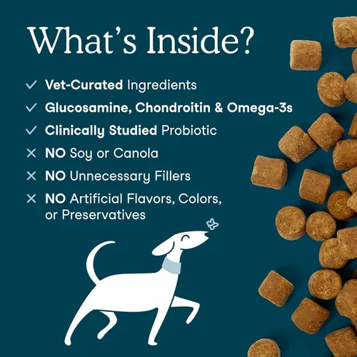 Miniatura 3 de Fera Pets Gomitas masticables multivitamínicas para perros con glucosamina y probióticos - Vitaminas y minerales esenciales para perros - Promueve