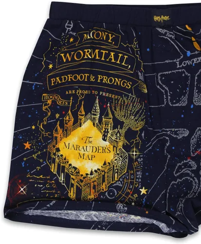 Miniatura 6 de Harry Potter Hogwarts Houses - Calzoncillos tipo bóxer para hombre