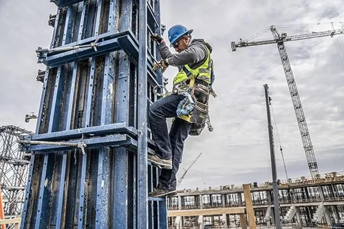 Miniatura 5 de Dickies - Calcetines deportivos con función de control de la humedad y tecnología Dri-Tech, paquete múltiple
