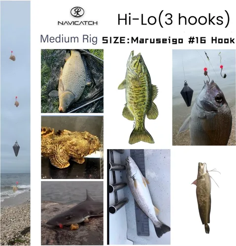 Miniatura 6 de Bagre, Scup (Porgy) y equipo de lubina – Kit de pesca de 3 ganchos Hi-Lo Bottom – Anzuelos japoneses atados a mano con línea PE – Agua salada y agua