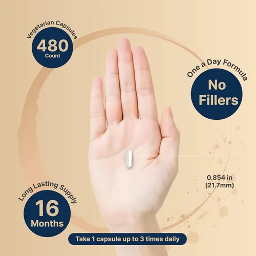 Miniatura 4 de Paquete de 2 glicinatos de magnesio de 500 mg, 480 cápsulas, 100 % quelado para una máxima absorción, suplemento mineral biodisponible para la salud