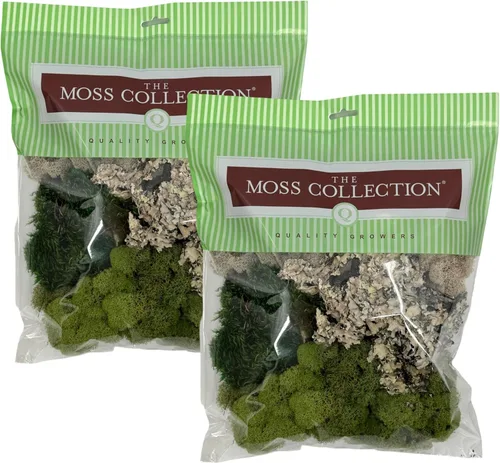 Miniatura 4 de Quality Growers - Paquete variado de la colección Moss - Musgo decorativo natural - Manualidades, decoración del hogar, proyectos de arte, diseño
