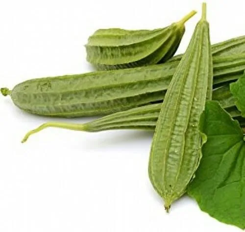 Miniatura 7 de The Rike 20 Semillas Luffa Acutangula Seeds Angulada Luffa Ridge Gourd Turai Chinese Okra Plato Paño Calabaza, Calabaza Estriada, Muop Huong
