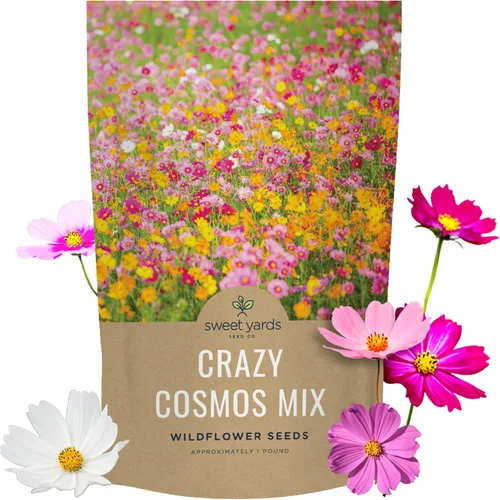 Miniatura 15 de Cosmos Seeds Mezcla de flores silvestres, paquete a granel de 1 onza, más de 5,000 semillas, especies mixtas de rosa, amarillo, naranja, rojo