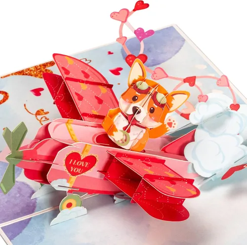 Frndly by Paper Love - Tarjeta desplegable de biplano 3D para perro, regalo para cumpleaños, boda, aniversario, agradecimiento, mejorarse, día de