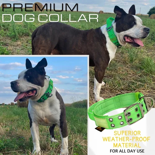 Miniatura 6 de ADITYNA Collar de perro resistente para perros grandes, collar verde reflectante con asa para entrenar y caminar, ancho, grueso, táctico, acolchado