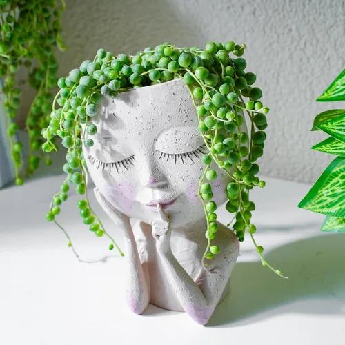 Miniatura 2 de Cadena de perlas (10 cm), plantas suculentas vivas, plantas suculentas completamente enraizadas en macetas con tierra, planta de interior de fácil