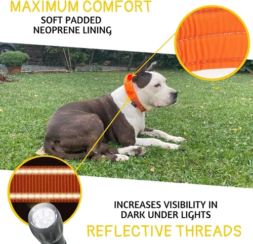 Miniatura 3 de ADITYNA Collar de perro resistente para perros grandes, collar naranja reflectante con asa para entrenar y caminar, ancho, grueso, táctico